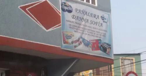 PANALERA DANNA SOFIA PANALERA DANNA SOFIA